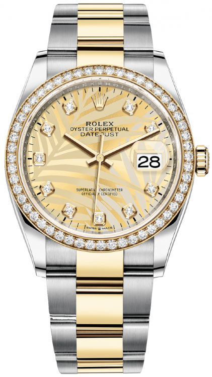 Gold Dial Watch - Two-tone Gold-36MM
