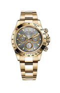Grey dial - Gold strap -40MM