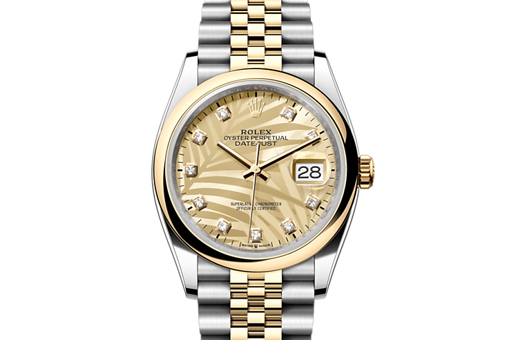 Gold dial watch - gold-36MM