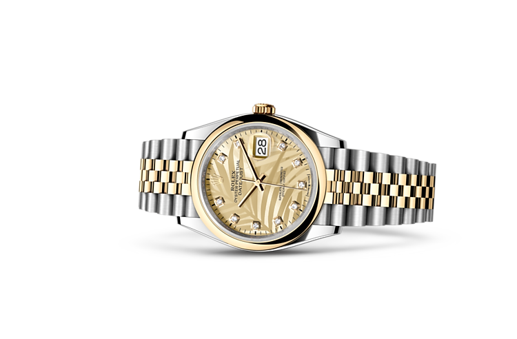 Gold dial watch - gold-36MM