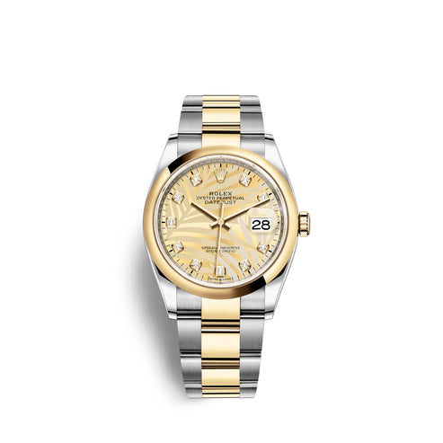 Gold dial watch - gold-36MM