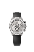Stainless steel dial - black strap - 40MM