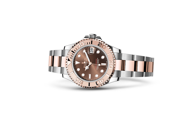 Chocolate Dial Watch - Gold-37MM