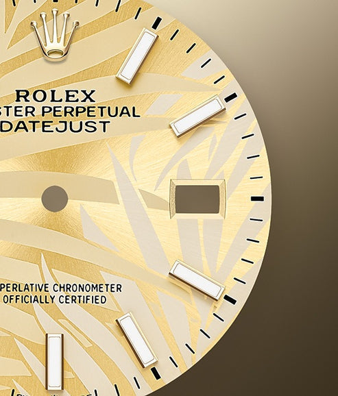Gold Dial Watch - Two-tone Gold-36MM