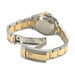 Olive Green Dial Watch - Gold - 31MM
