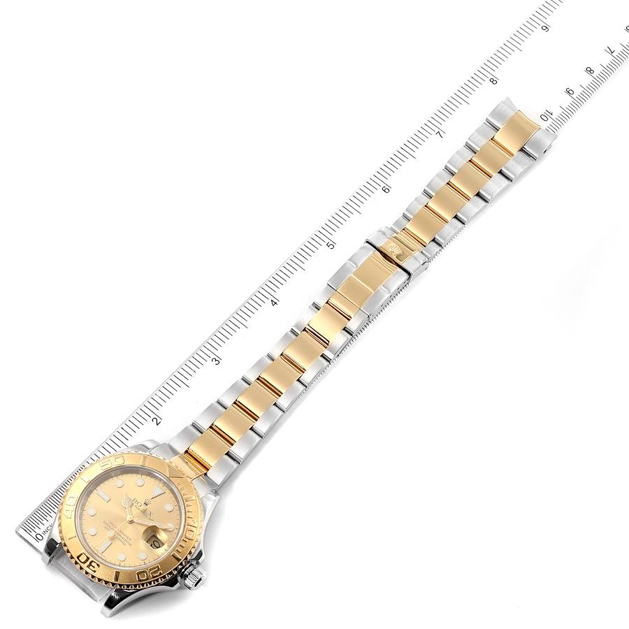 Champagne Dial Watch - Gold-35MM