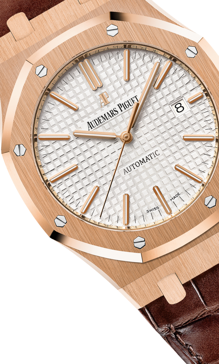 Brown 904L steel silvery white dial - Watch - 41 mm