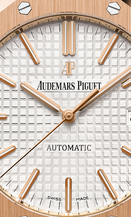 Brown 904L steel silvery white dial - Watch - 41 mm