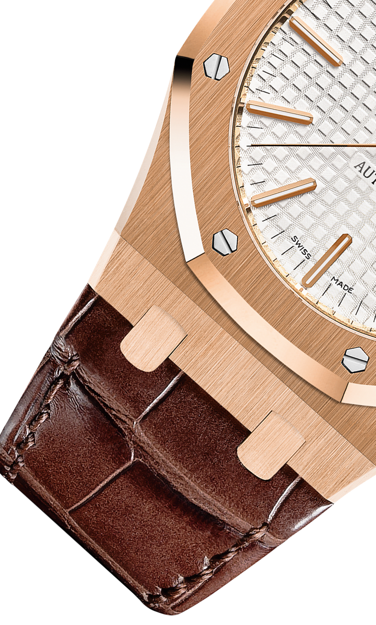 Brown 904L steel silvery white dial - Watch - 41 mm