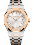 Argentine 904L Steel Silver Dial - Watch - 37 mm